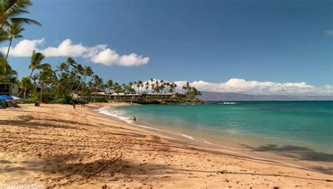 Napili Bay Beach Review - Maui Beaches - Maui Guide