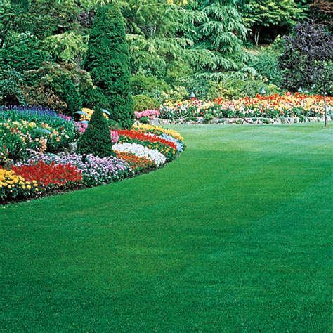 Gurney's Healthy Lawn Grass Seed | Gurney's Seed & Nursery Co.