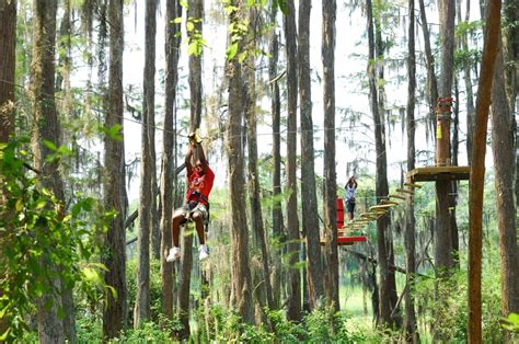 11 Family-Friendly Activities in Tallahassee, Florida | TouristSecrets