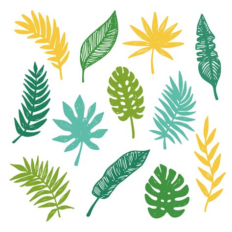 Vector Tropical Leaves set 11772495 Vector Art at Vecteezy