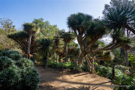 San Diego Botanic Garden in Encinitas - California Through My Lens | San diego botanic garden ...