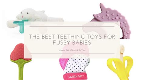 7 Best Teething Toys - This FamiLee