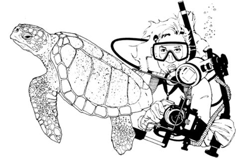 Green Sea Turtle and Scuba Diver coloring page | Free Printable Coloring Pages