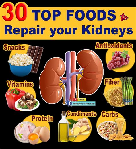 30 FOODS to REPAIR the KIDNEYS | the Healthiest Foods on the Planet | Kidney diet recipes ...