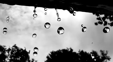 30 Rain Photography Tips – How to Take Photography in the Rain?