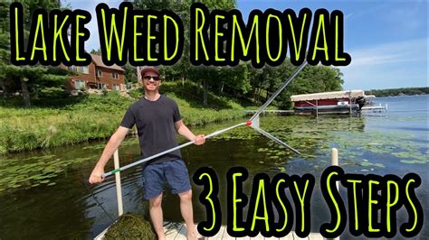 How to Remove Weeds from a Pond: Proven Strategies