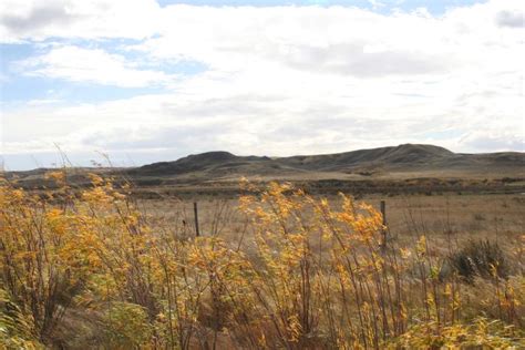 Saving the Prairie ecosystem - Canadian Wildlife Magazine