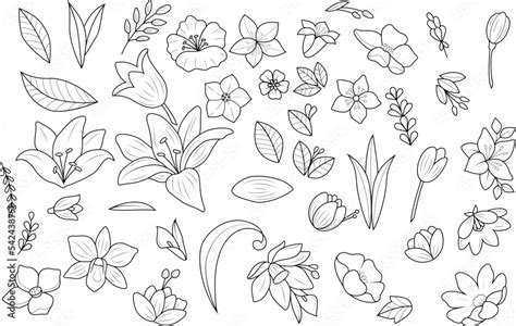 Hand drawn flowers Leaves clipart Set, vector illustration, Outline flowers clipart, Line art ...