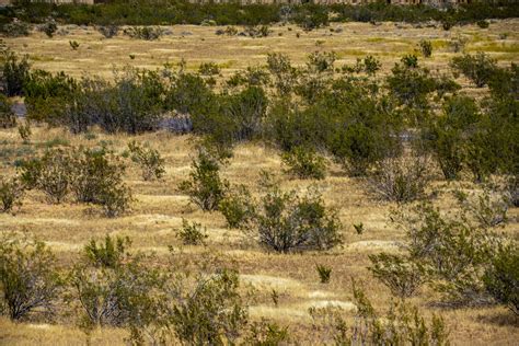 Prairie Landscape Free Stock Photo - Public Domain Pictures