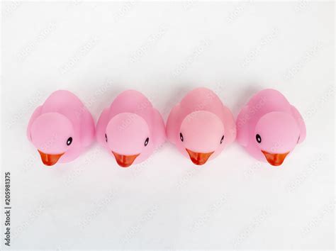 Four pink rubber ducks as viewed from above on an isolated white background Stock Photo | Adobe ...