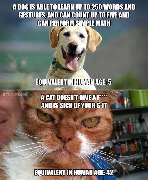 Intelligence: Dogs vs. Cats | Dogs, Cats, Funny dogs