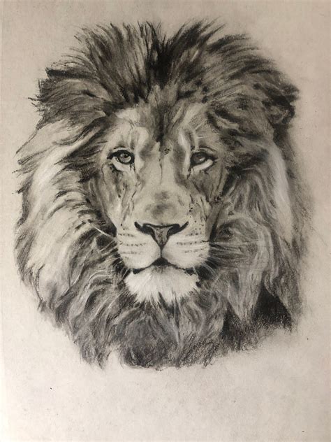 Drawing a Lion! Realistic Art with Charcoal | by @Simon | Medium