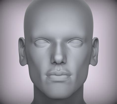 STL file 11 Male Head Sculpt 01 3D model Low-poly 3D model・3D printable model to download・Cults