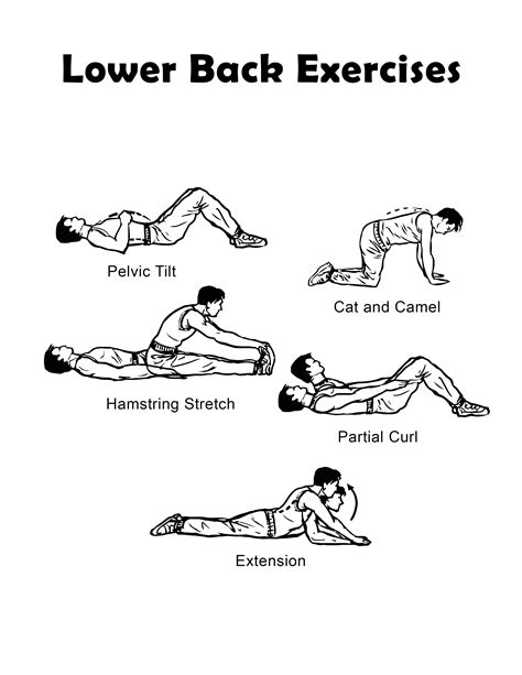 Lower Back Muscles Exercises / 6 Best Exercises for Lower Back Pain Relief - Fitwirr - You use ...