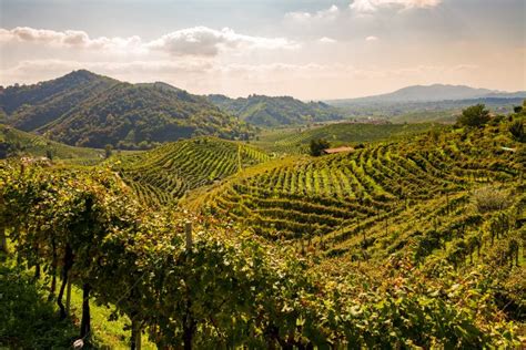 792 Valdobbiadene Vineyards Veneto Italy Stock Photos - Free & Royalty-Free Stock Photos from ...