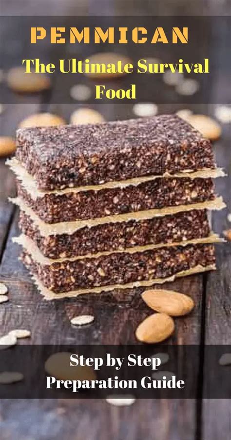 Pemmican Recipe Native American Survival Food - The Homestead Survival