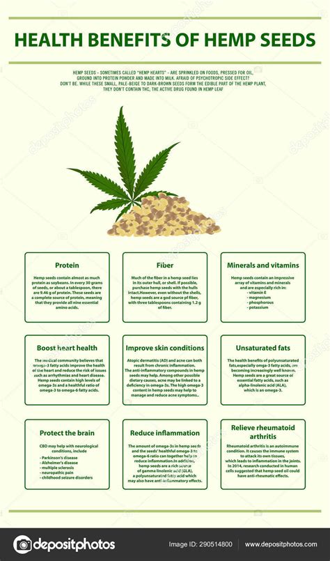 Health Benefits of Hemp Seeds vertical infographic — Stock Vector © About-time #290514800