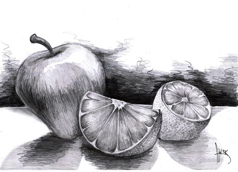 Fruits Pencil Drawing: A Step-by-Step Guide to Create Realistic Art