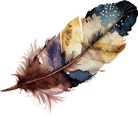 Watercolor Feather PNGs for Free Download