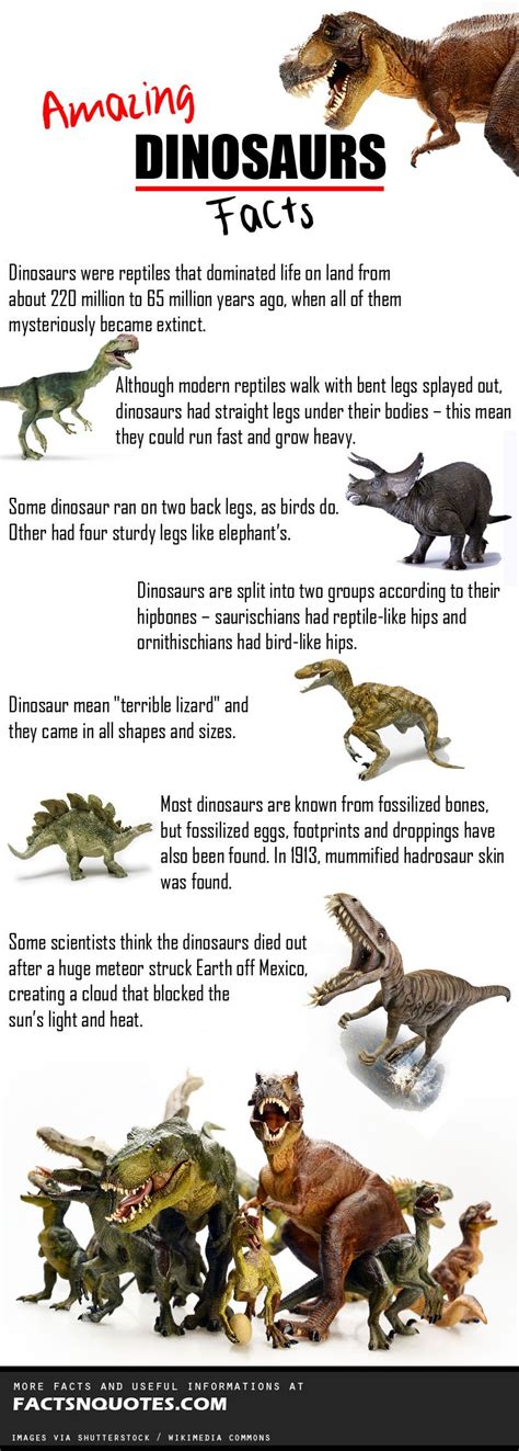 Top 10 Fun Facts About Dinosaurs