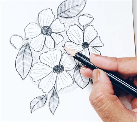 Flowers Drawing with Pencil Shading: A Comprehensive Guide