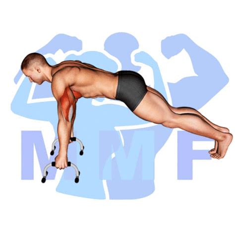 Push Up On Grips: Your How To Guide For Better Push Ups