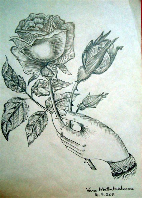 Pencil Shading Drawings Of Flowers