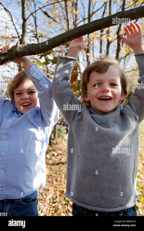 Two Boys Hanging from a Tree Branch Stock Photo - Alamy