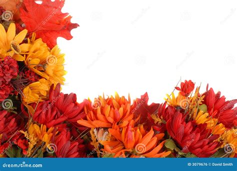 Border of autumn flowers stock photo. Image of colorful - 3079676