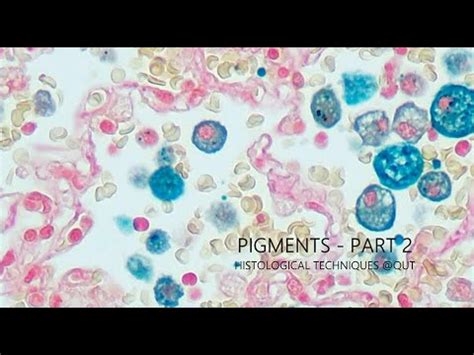 Pigments - Part 2 - YouTube