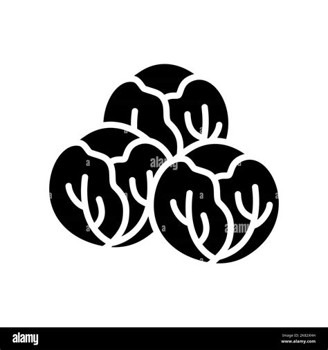 Brussels sprouts isolated design vector glyph icon. Vegetable sign. Graph symbol for food and ...