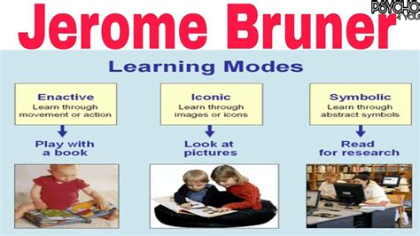 Jerome Bruner Child Development Reduced | clc.cet.edu