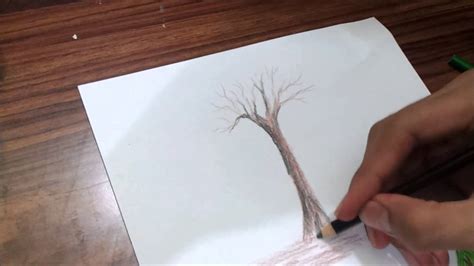 Tree Pencil Shading | Pencil Art Drawing