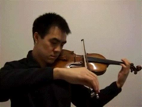 Violin GIF - Find & Share on GIPHY