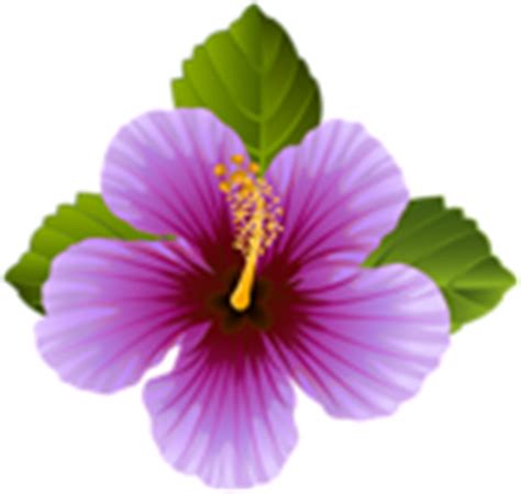 Purple Flower Transparent Clip Art Image | Gallery Yopriceville - High-Quality Images and ...