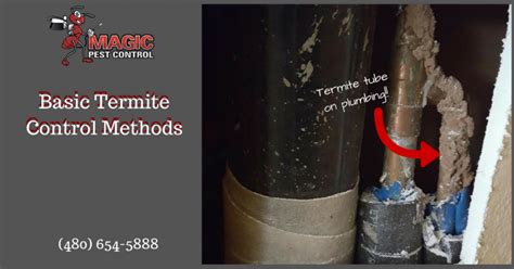 Basic Termite Control Methods