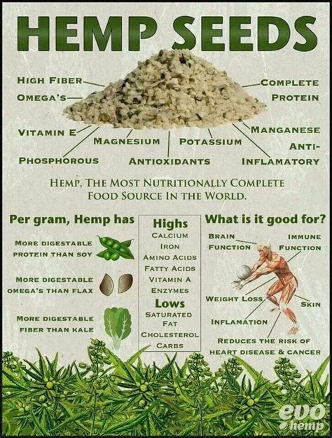 HempLogic: Hemp Related Infographics