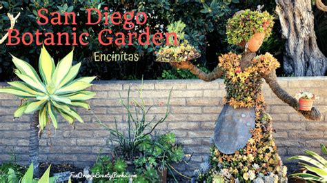 San Diego Botanic Garden in Encinitas - Fun Orange County Parks