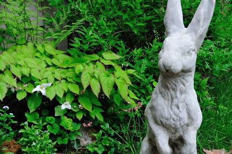 Rabbit garden statue | Rabbit sculpture, Garden statues, Rabbit garden