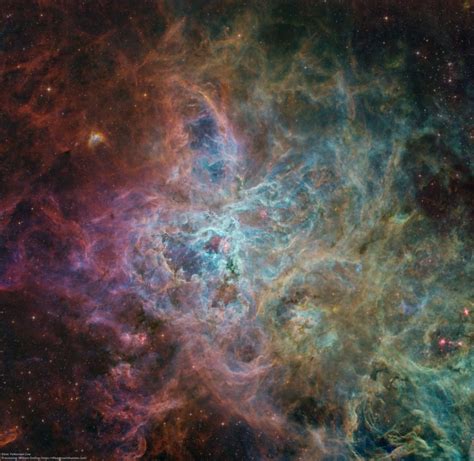 The Tarantula Nebula - The Astronomy Enthusiast