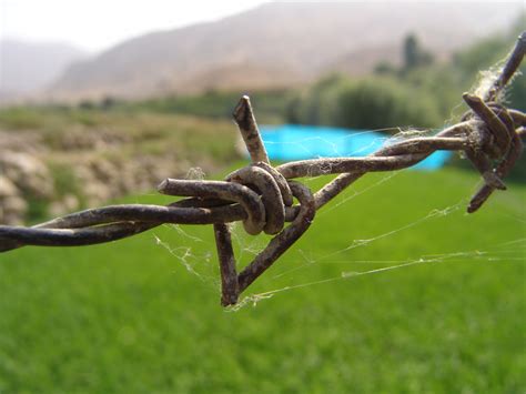 LAND PROTECTION THROUGH BARBED WIRE FENCING AT REASONABLE COSTS - Wanwas