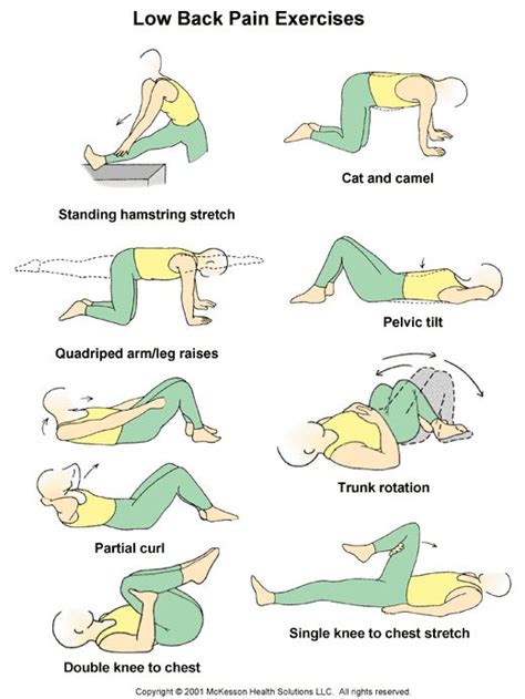 21 best images about Low Back Pain Exercises Patient Handout on Pinterest | Back exercises ...