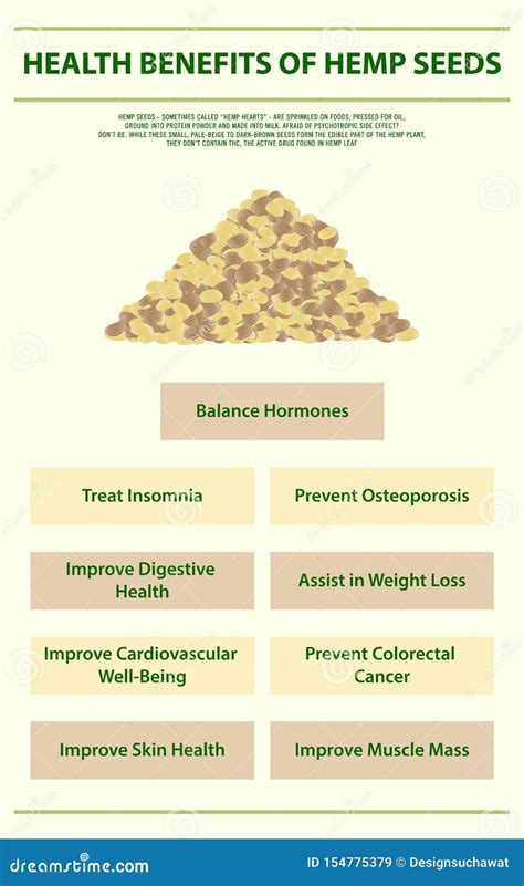 Health Benefits of Hemp Seeds Vertical Infographic Complete Stock Vector - Illustration of ...