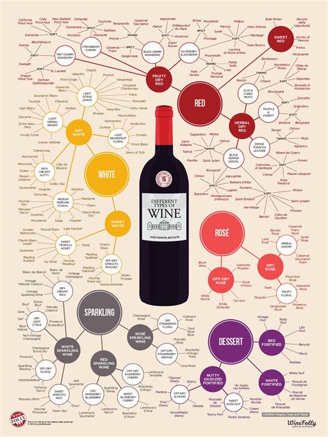 Different Types of Wine #infographic ~ Visualistan