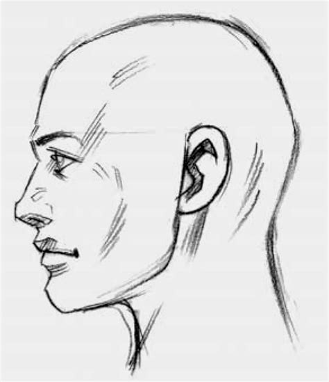 How To Draw A Human Head Side View