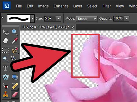 How Do I Remove The White Background From An Image In Paint at Lily Devore blog