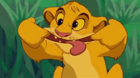 Simba Funny GIF - Simba Funny Funnyface - Discover & Share GIFs