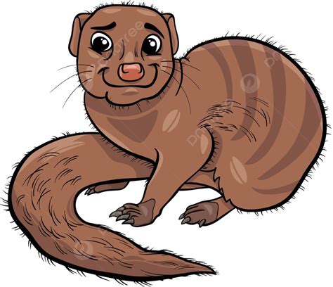 Mongoose Animal Cartoon Illustration Cute Character Animal Vector, Cute Clipart, Cartoon Clipart ...