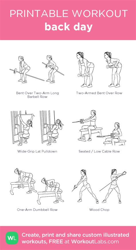 QuickFit Cable Machine Workout Poster Cable Machine Exercise Chart (Laminated, 18 X 27 ...