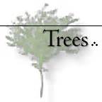 Trees (Major Categories)